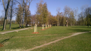 Letos bylo v Budějovicích vysazeno 121 stromů a 422 keřů