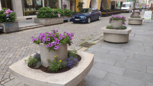 V Budějovicích se objevují nové květinové záhony