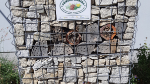 Lidé v Jeronýmově ulici pečují o veřejné prostranství