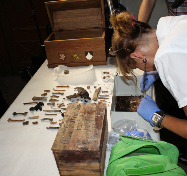 Archeologové vyzvedávali ostatky převora ze 13. století