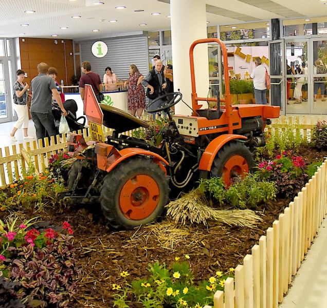 Na letošní Floru se do Olomouce sjeli lidé z celé republiky