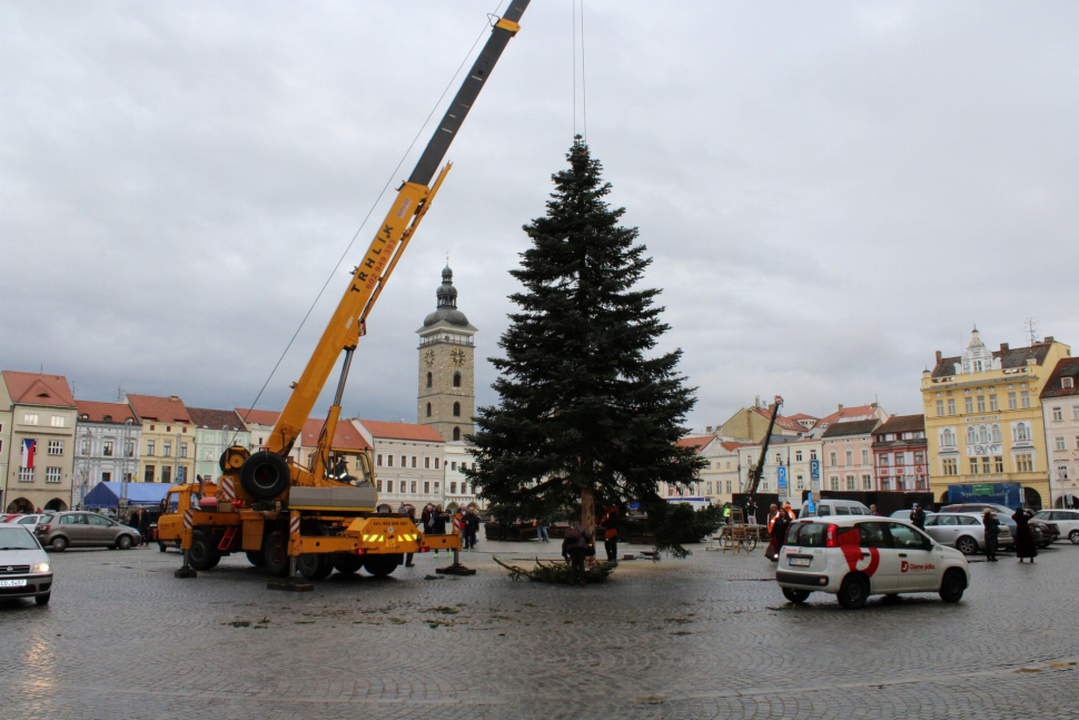 Vánoční jedle už zdobí budějovické náměstí